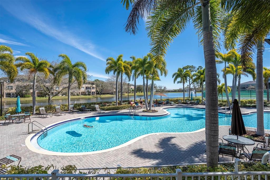 10002 Key Haven Road, Unit 201 Seminole, FL 33777 - Photo 42 of 70