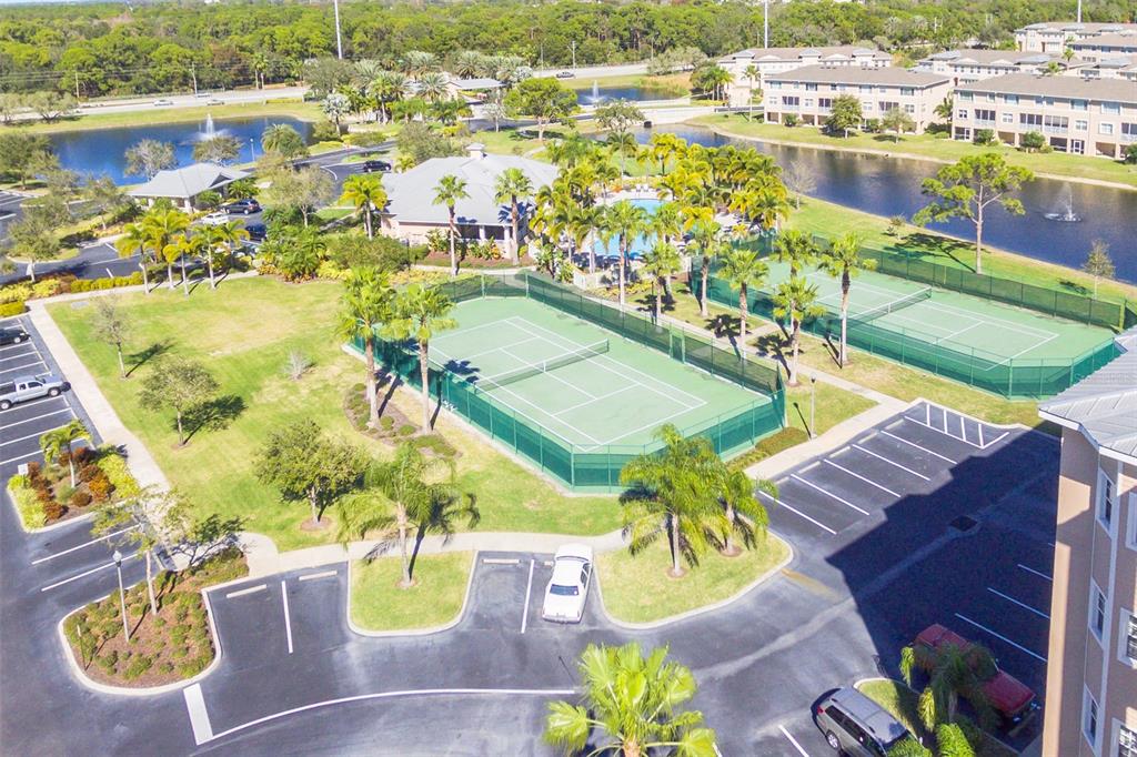10002 Key Haven Road, Unit 201 Seminole, FL 33777 - Photo 45 of 70