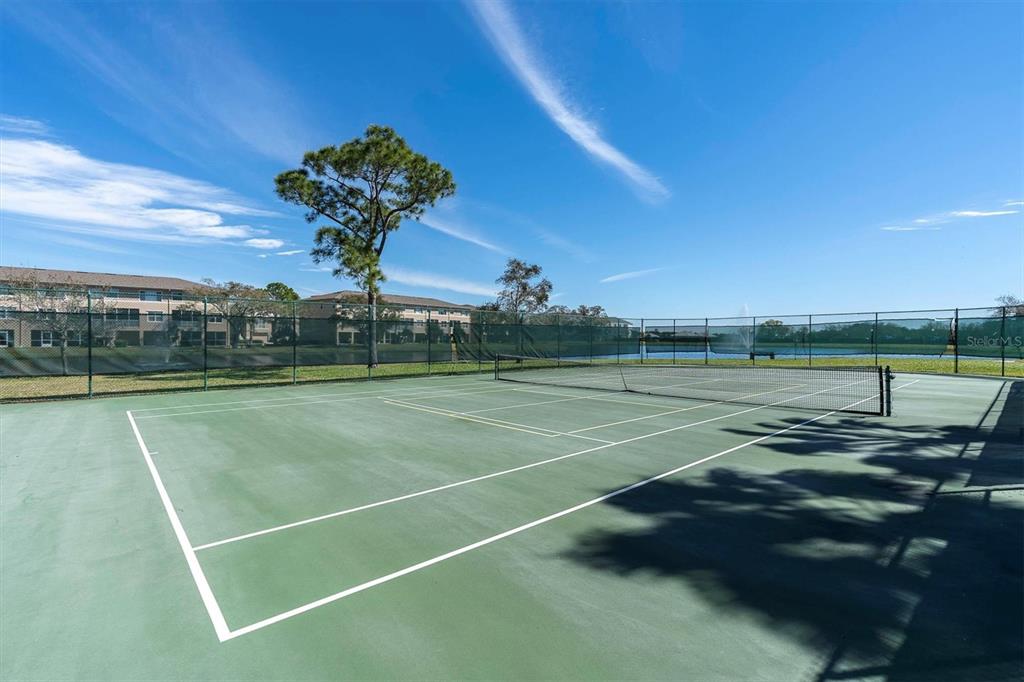 10002 Key Haven Road, Unit 201 Seminole, FL 33777 - Photo 46 of 70