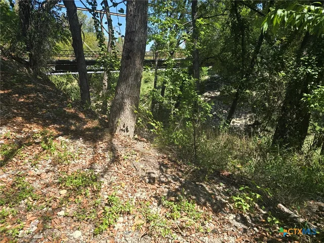 a view of a tree in a yard
