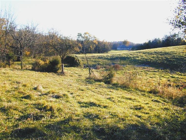 400-900 North Cheyenne Road Nixa, MO 65714 - Photo 1 of 1 Primary Photo