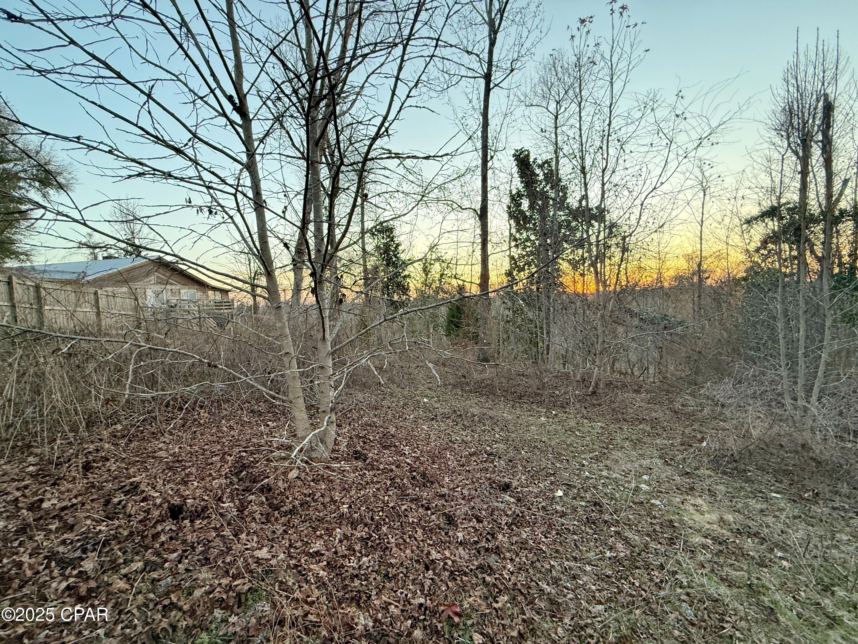 16570 Chipola Heights Road Altha, FL 32421 - Photo 55 of 66 Gallery Image 55