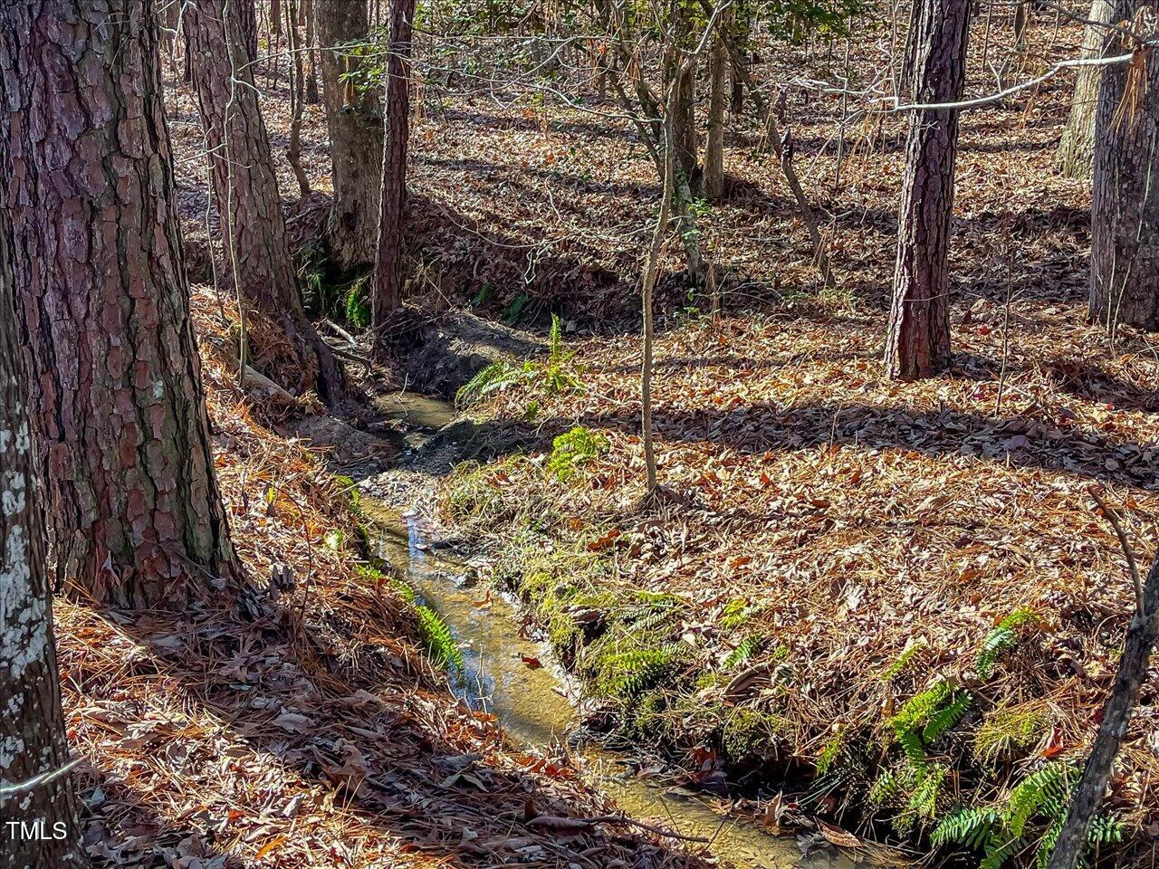 3 Robedo Rd Mount Mount Gilead, NC 27306 - Photo 23 of 24 30-030-Tract3-RobedoRd-MontgomeryCounty-