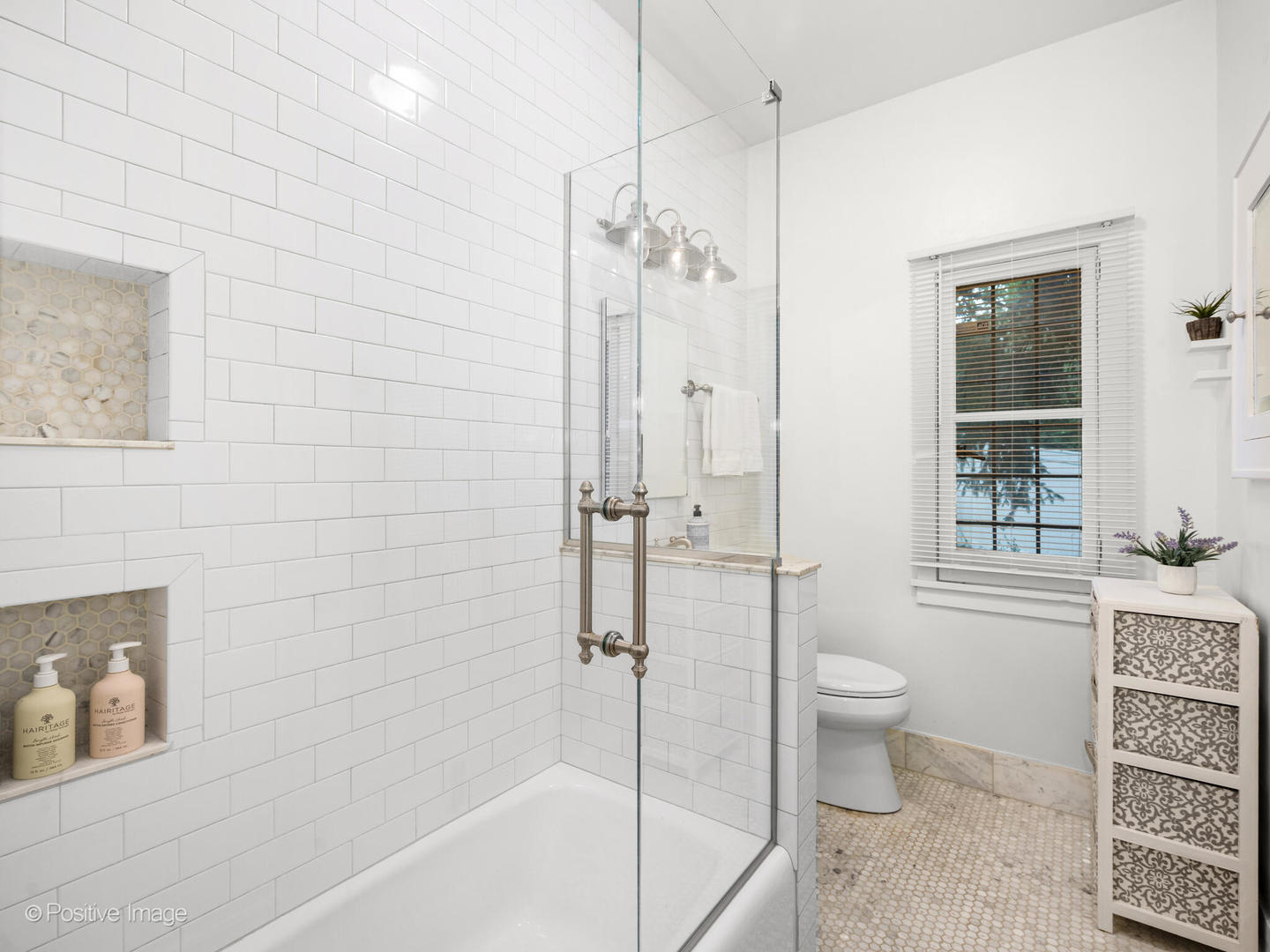 317 East Walnut Street Hinsdale, IL 60521 - Photo 22 of 38 a bathroom with a granite countertop sink a toilet and shower