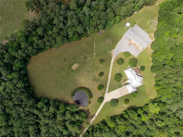 a view of a park with large trees