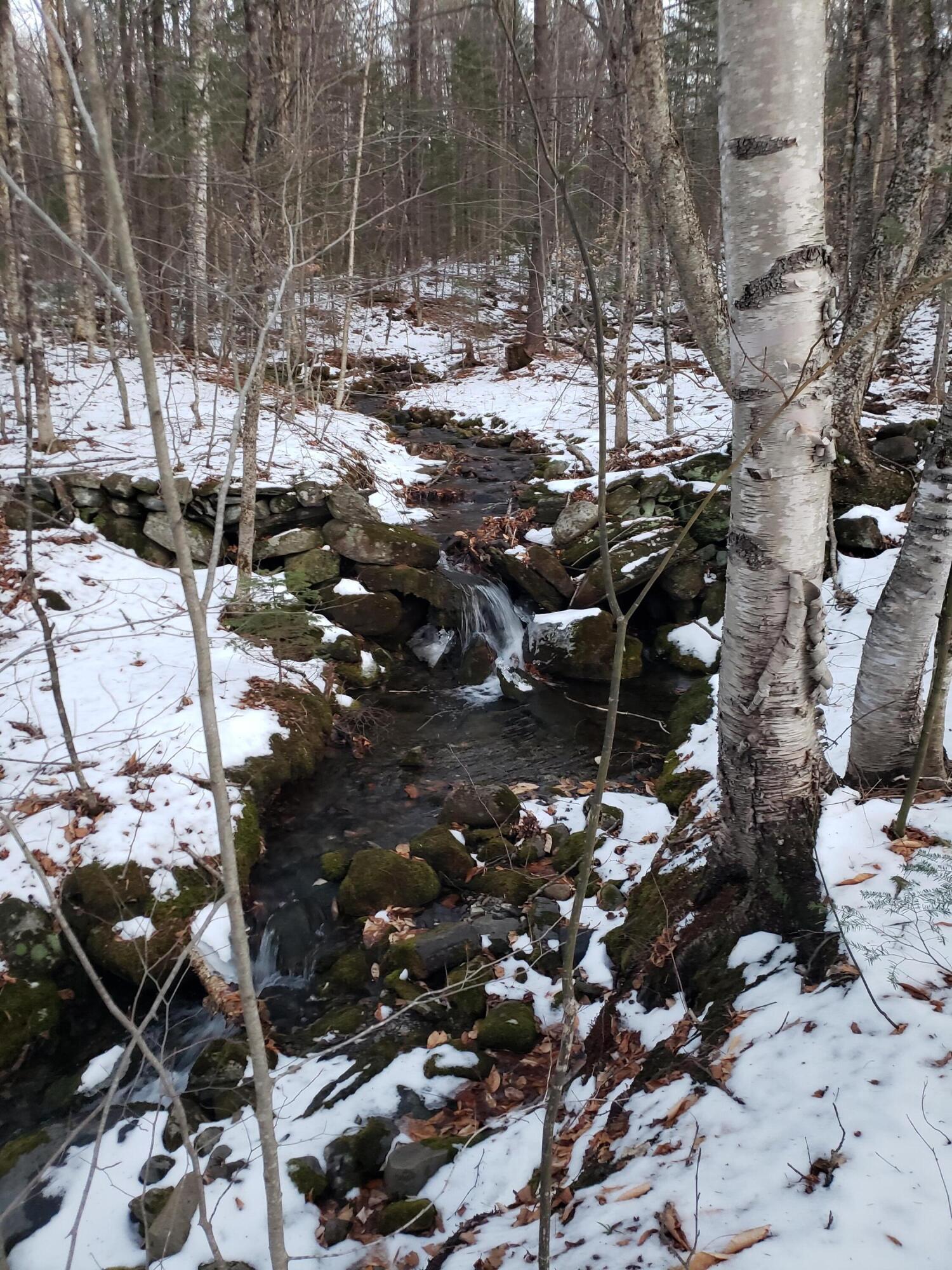 641 Temple Road Wilton, ME 04294 - Photo 65 of 75 Camp boarders beautiful brook!