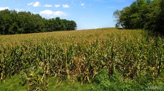 $377,700 | 0 State Hwy K, Bloomfield, MO 63825