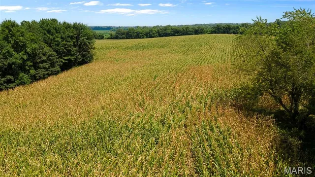 $377,700 | 0 State Hwy K, Bloomfield, MO 63825