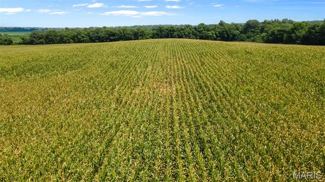 $377,700 | 0 State Hwy K, Bloomfield, MO 63825