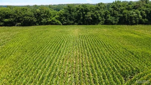 $377,700 | 0 State Hwy K, Bloomfield, MO 63825