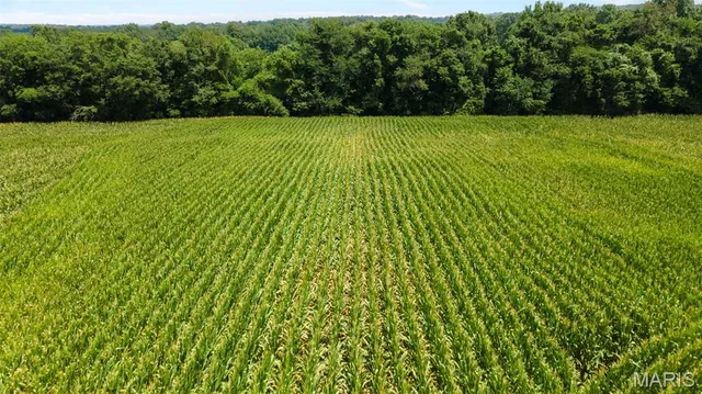 $377,700 | 0 State Hwy K, Bloomfield, MO 63825