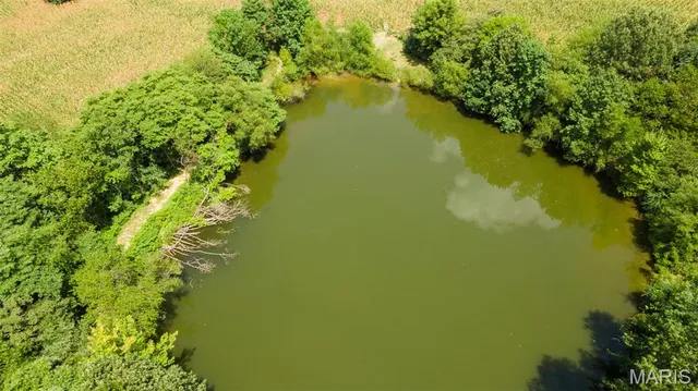 $377,700 | 0 State Hwy K, Bloomfield, MO 63825