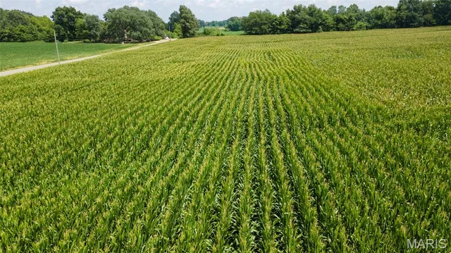 $377,700 | 0 State Hwy K, Bloomfield, MO 63825