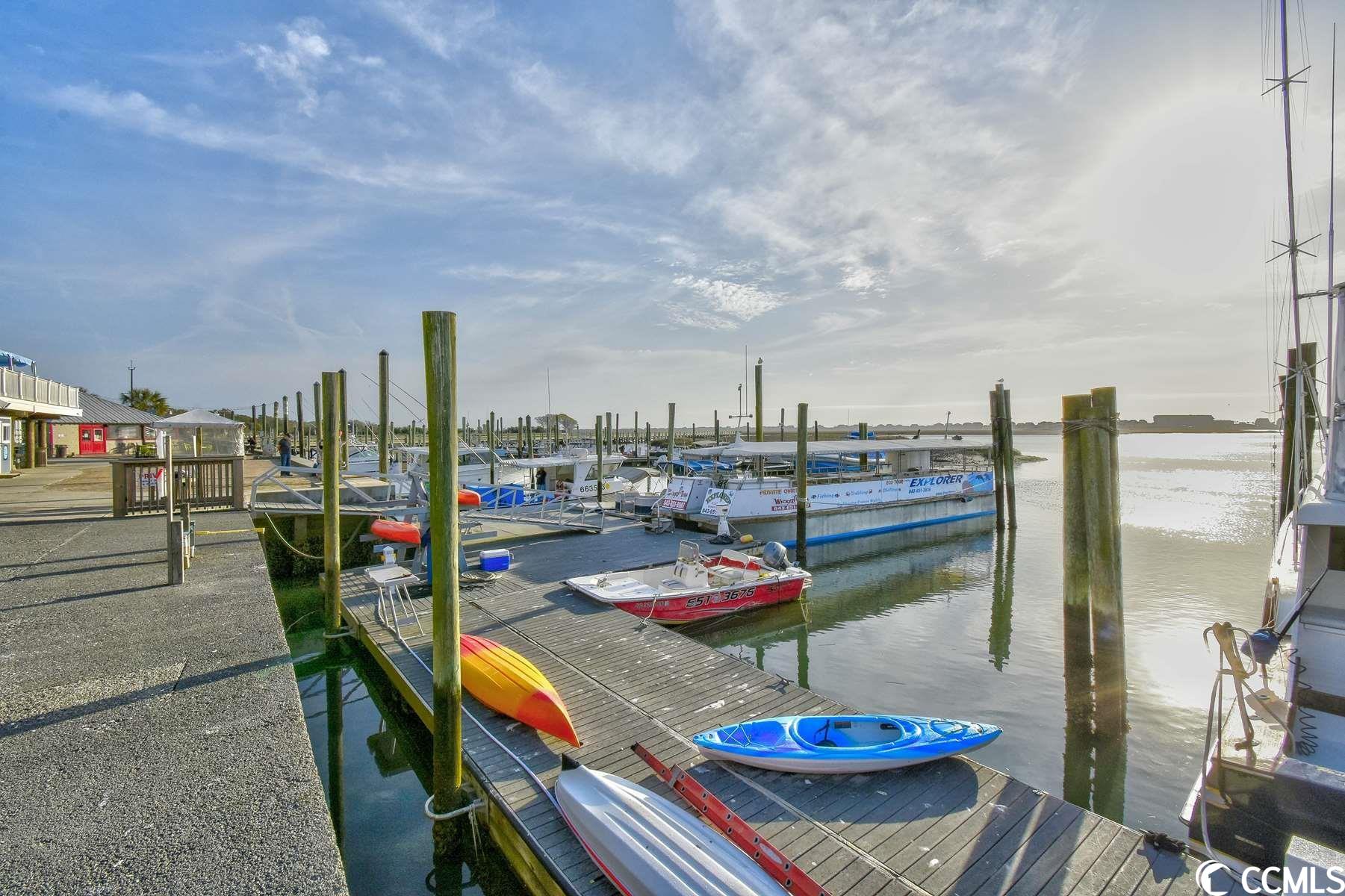 747 Jensen Drive North Murrells Inlet, SC 29576 - Photo 37 of 40