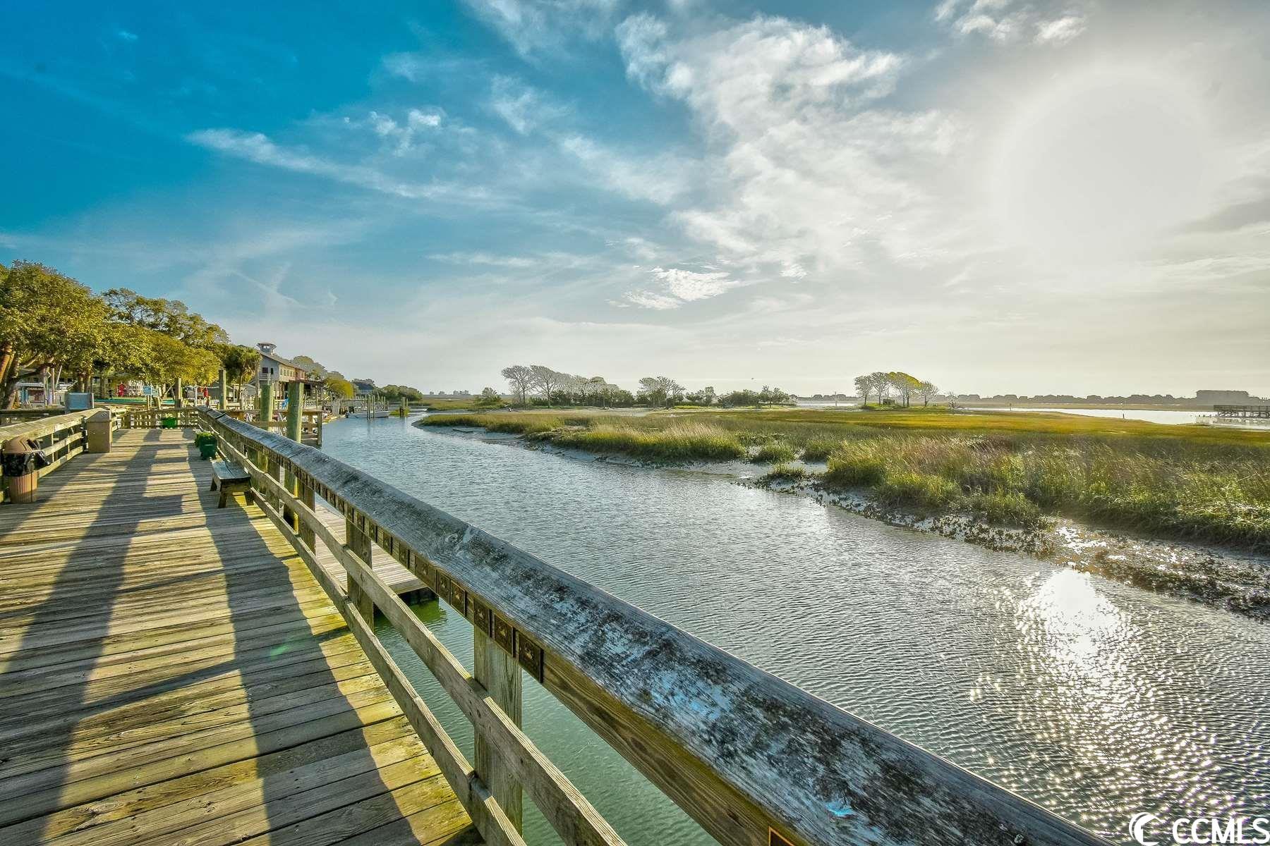 747 Jensen Drive North Murrells Inlet, SC 29576 - Photo 38 of 40