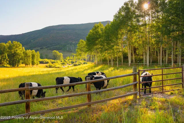 a view of an ocean with a mountain