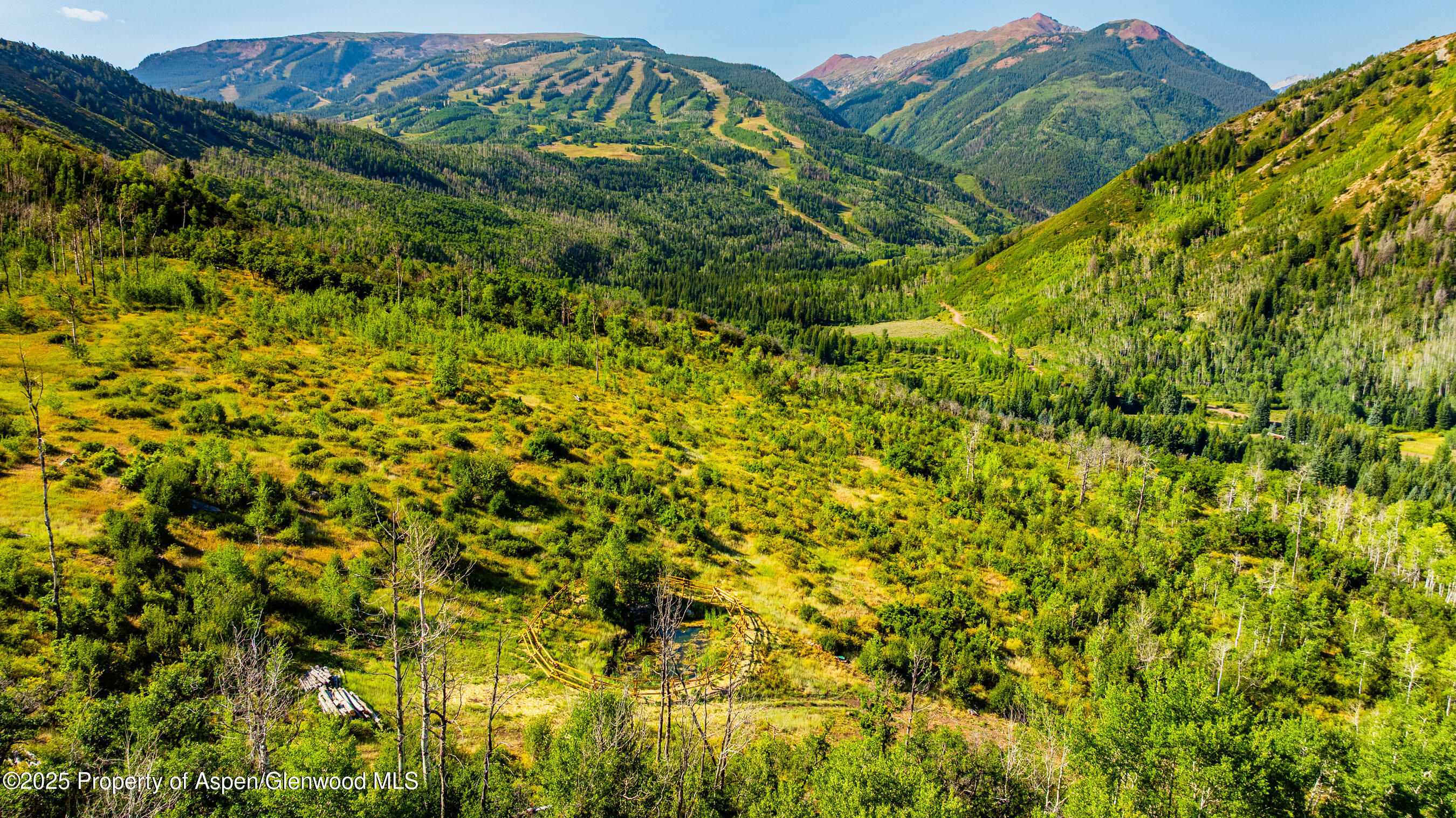 8500-tbd Snowmass Creek Road Snowmass, CO 81654 - Photo 13 of 17 a view of a garden