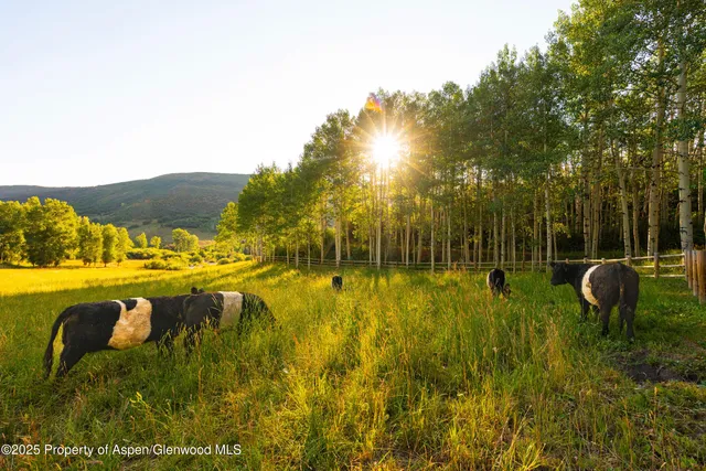 a view of an outdoor space pool patio and outdoor seating