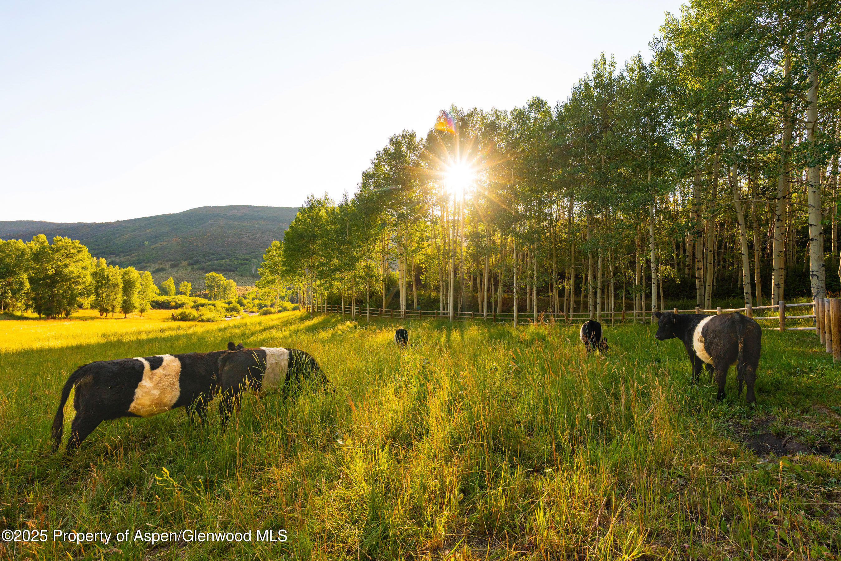 8500-tbd Snowmass Creek Road Snowmass, CO 81654 - Photo 2 of 17 a view of an outdoor space pool patio and outdoor seating