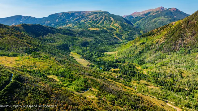 a view of a large building with a lush green forest