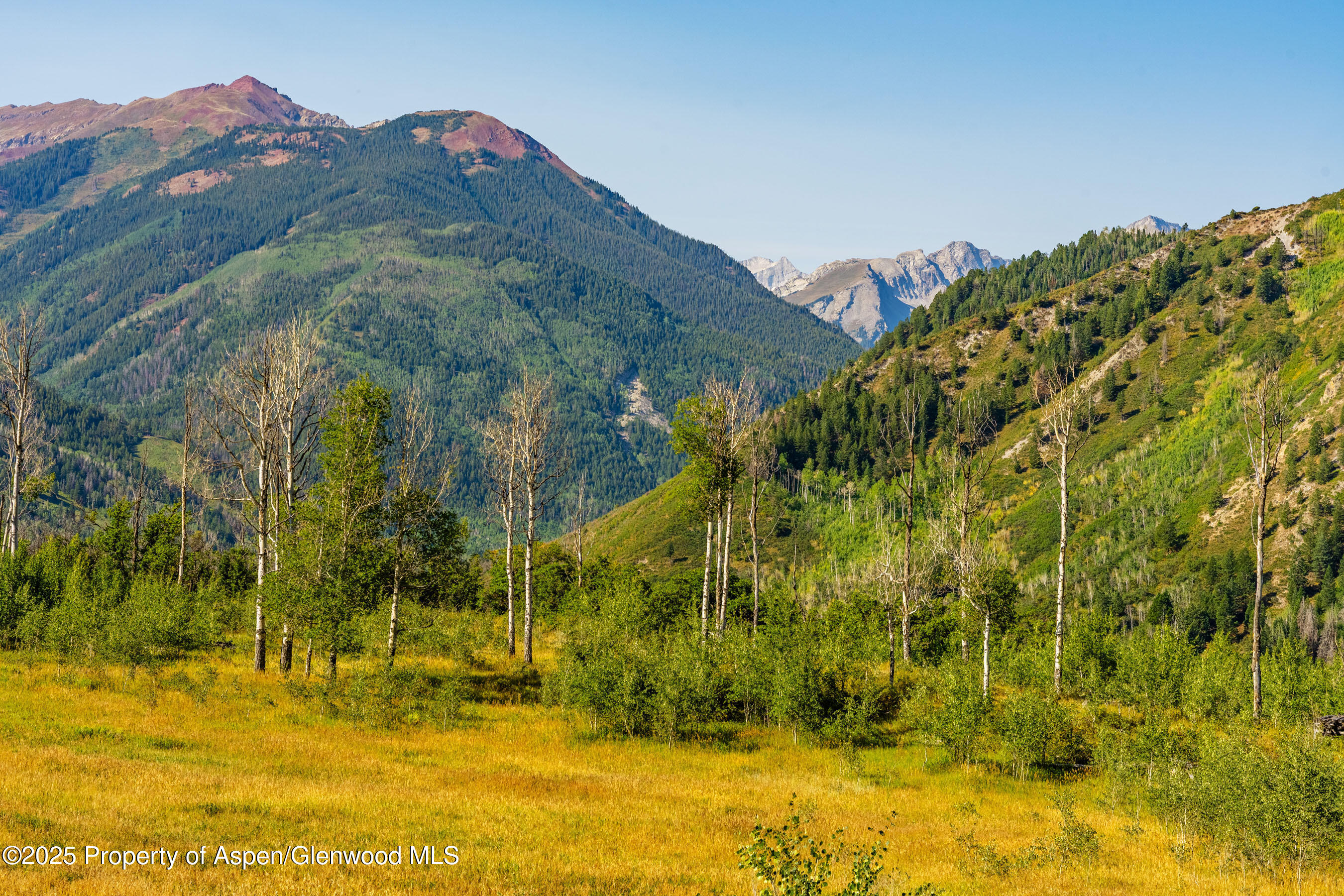 8500-tbd Snowmass Creek Road Snowmass, CO 81654 - Photo 4 of 17 a view of a yard