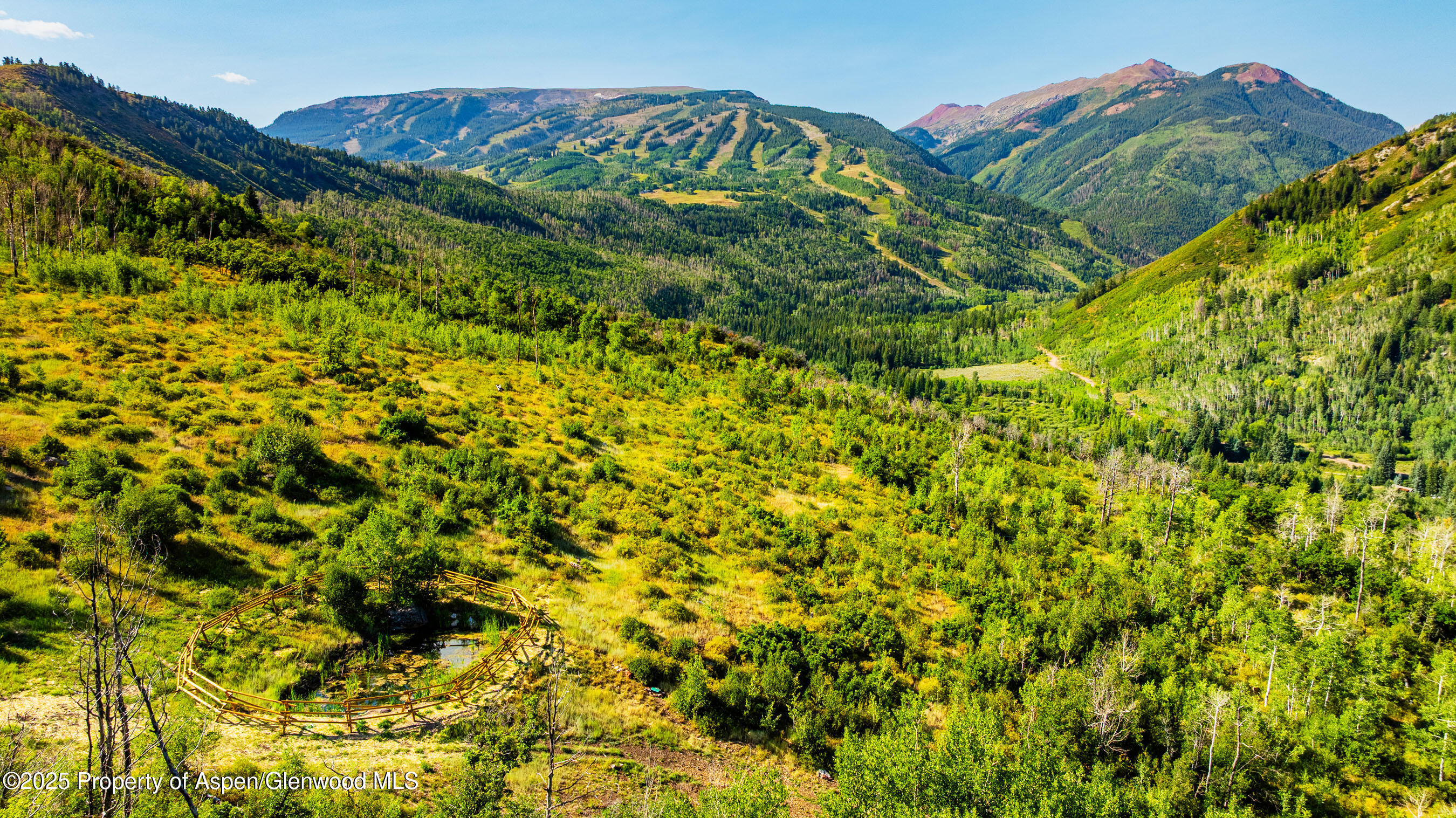8500-tbd Snowmass Creek Road Snowmass, CO 81654 - Photo 6 of 17 a view of a garden