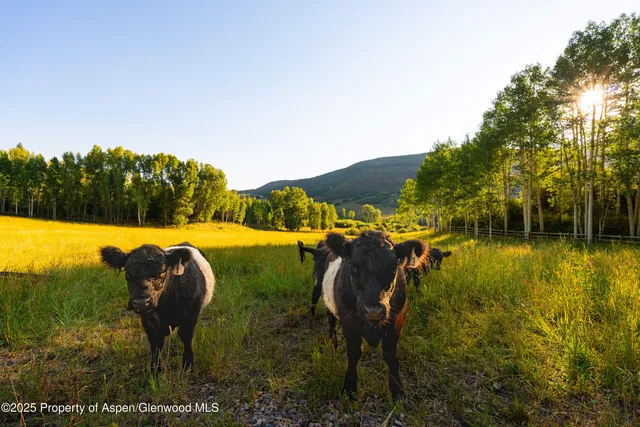 a view of a lake view