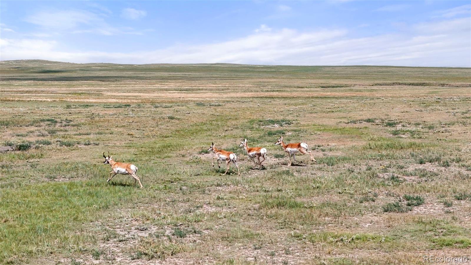 0 Resolis Road Matheson, CO 80830 - Photo 11 of 50 a view of an ocean and beach
