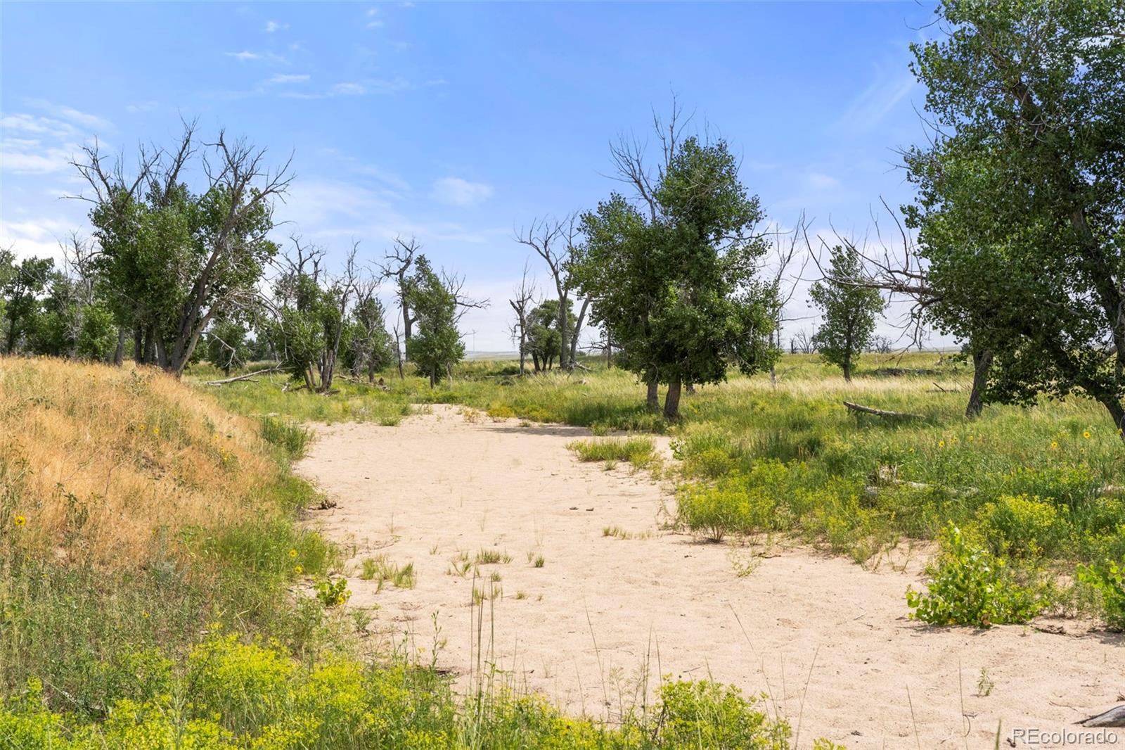 0 Resolis Road Matheson, CO 80830 - Photo 19 of 50 a view of ocean view with beach