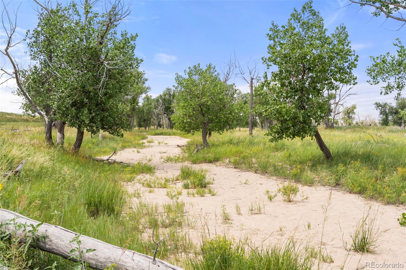 0 Resolis Road Matheson, CO 80830 - Photo 21 of 50 a view of yard with green space
