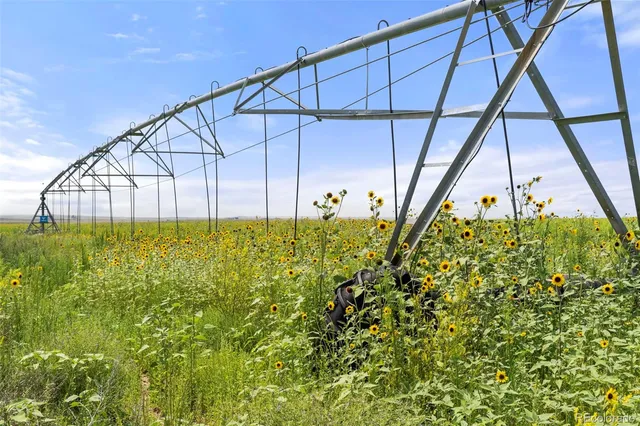 a view of two chairs and a table in a yard