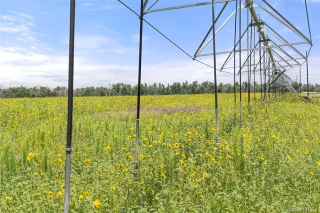 a view of a large body of water and lots of trees