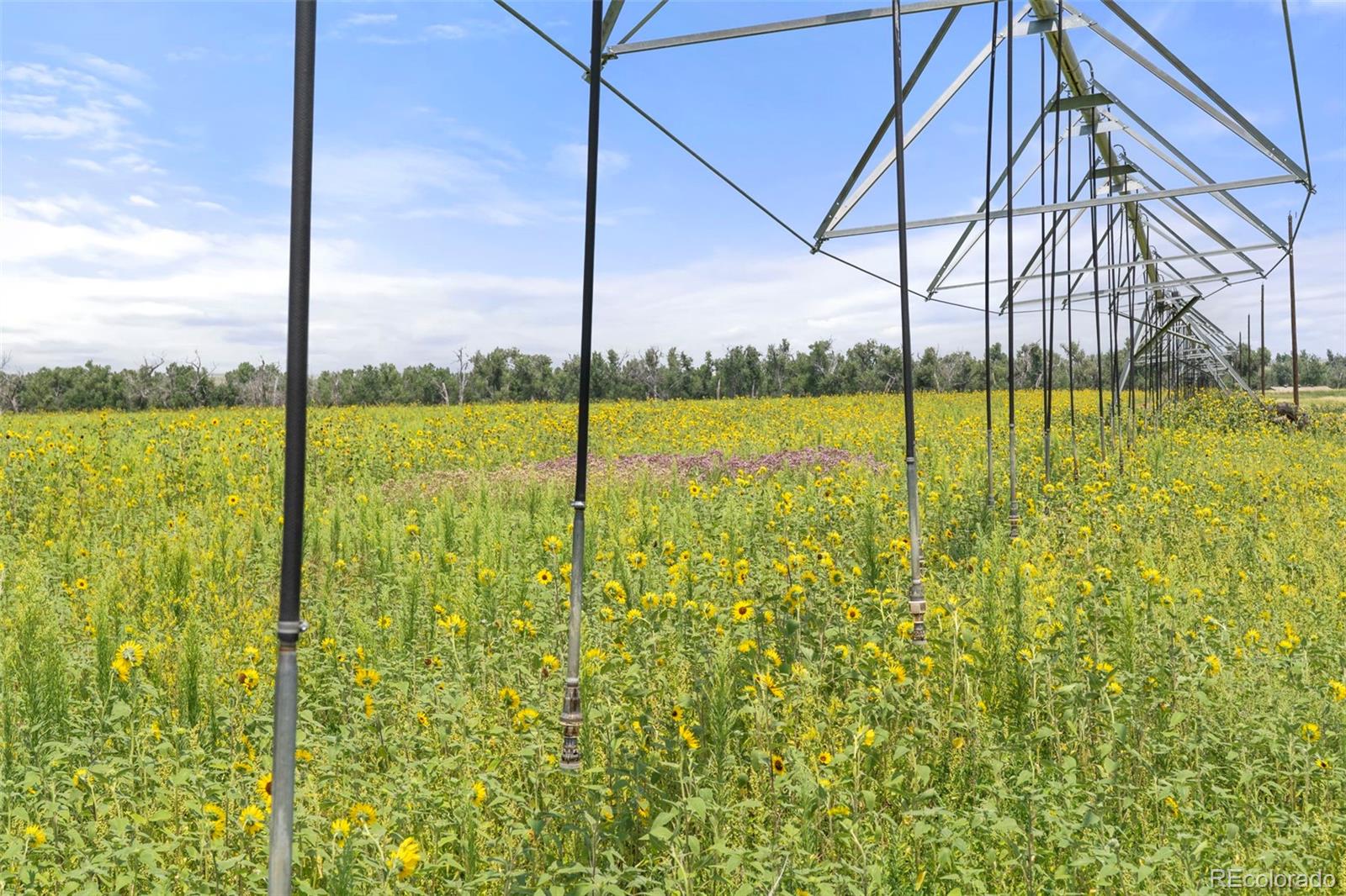 0 Resolis Road Matheson, CO 80830 - Photo 34 of 50
