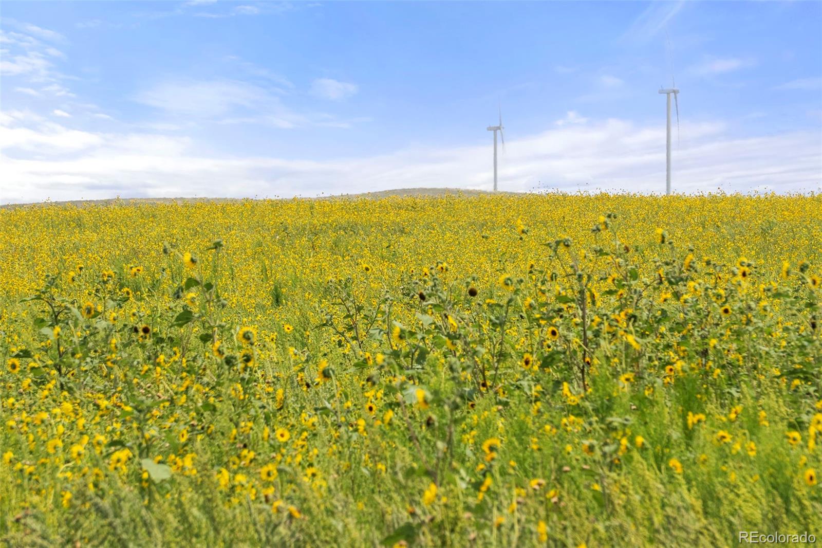 0 Resolis Road Matheson, CO 80830 - Photo 36 of 50 a view of an ocean