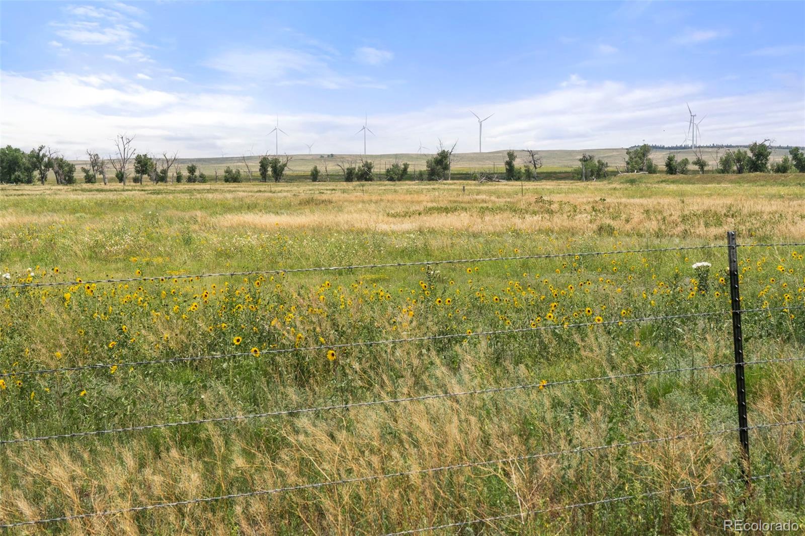 0 Resolis Road Matheson, CO 80830 - Photo 41 of 50 a view of an ocean