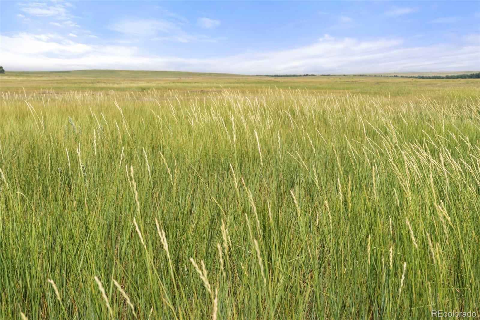 0 Resolis Road Matheson, CO 80830 - Photo 45 of 50 a view of an ocean