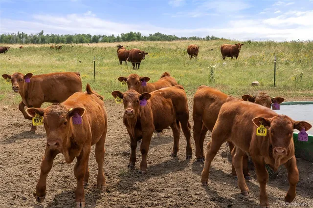 $2,400,000 | 0 Resolis Road, Matheson, CO 80830