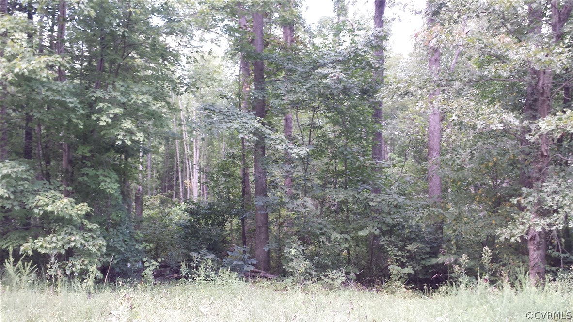 0 Bolling Quarter Road Powhatan, VA 23139 - Photo 1 of 2 Gallery Image 1