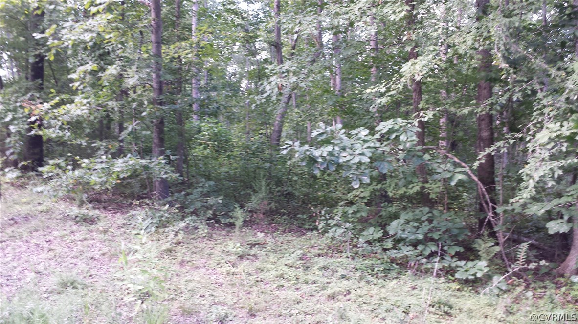 0 Bolling Quarter Road Powhatan, VA 23139 - Photo 2 of 2 Gallery Image 2