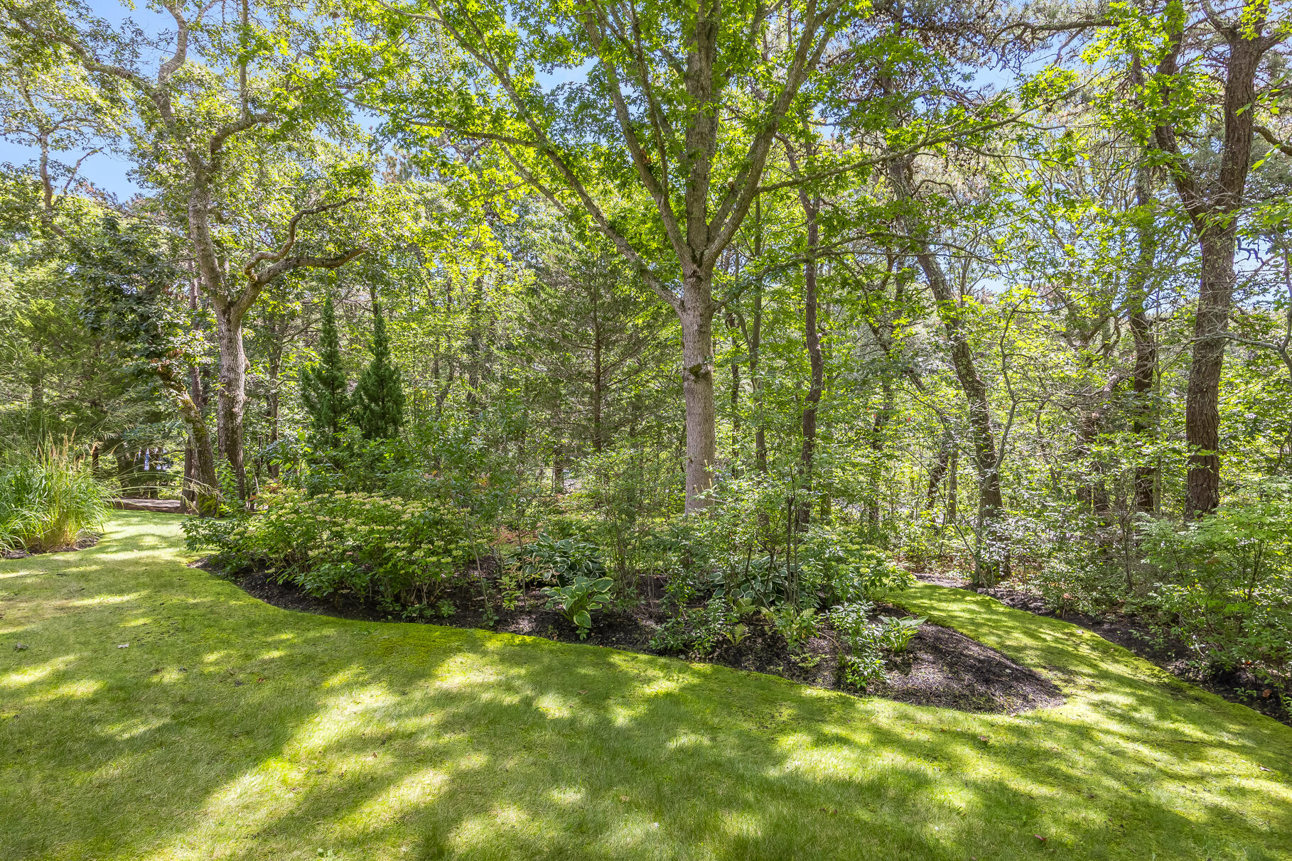 7 Fishermans Road Truro, MA 02666 - Photo 30 of 42 a view of a yard with plants and large trees