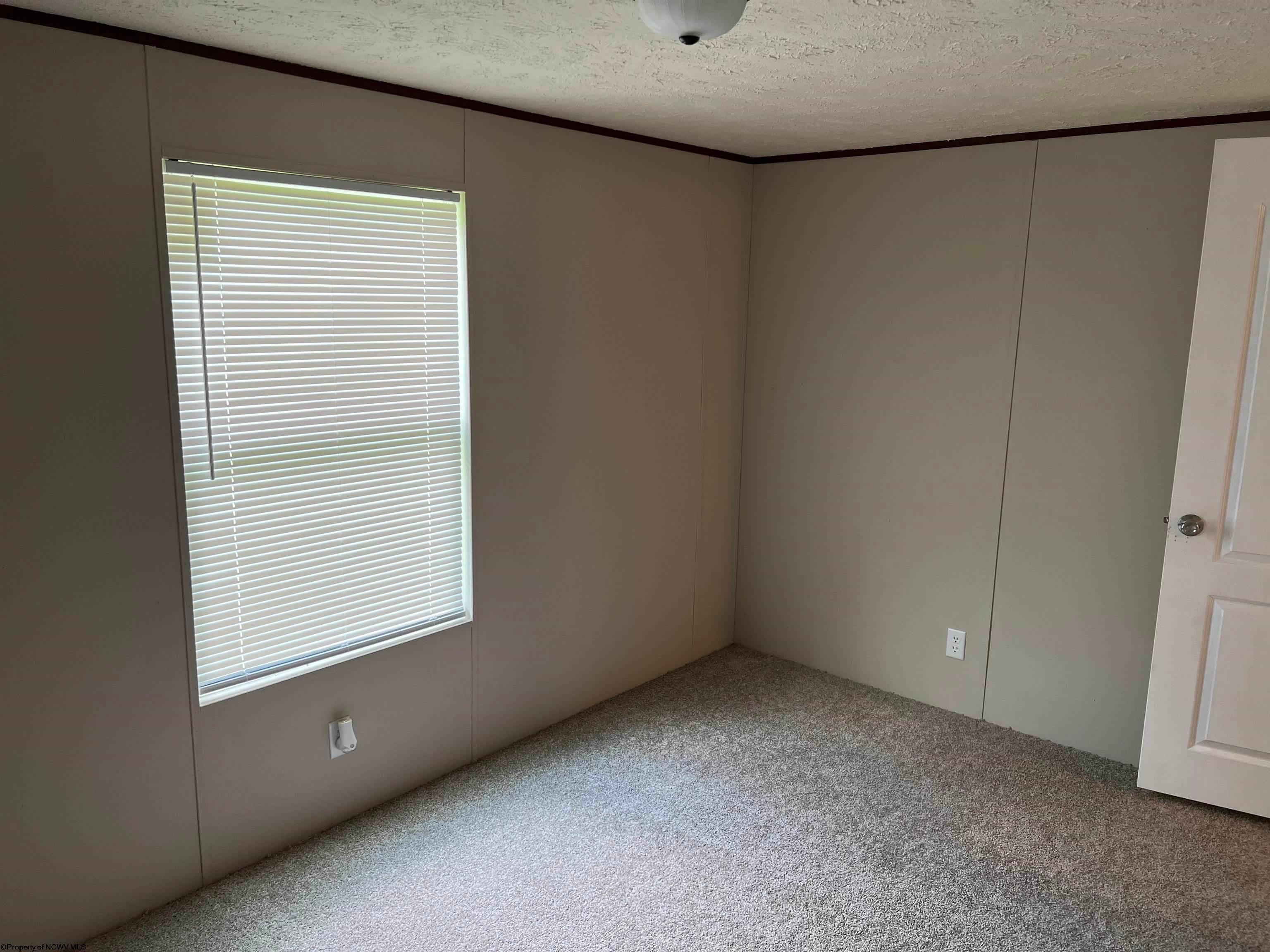 4321 Hunters Fork Road Belington, WV 26250 - Photo 14 of 15 Gallery Image 14