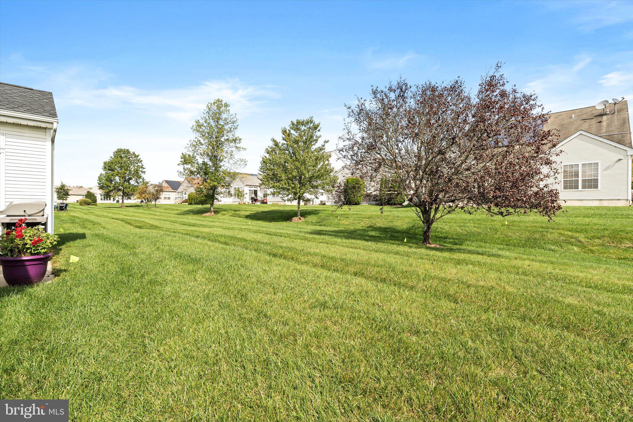 87 Chamber Lane Columbus, NJ 08022 - Photo 24 of 42 a view of a park with large trees