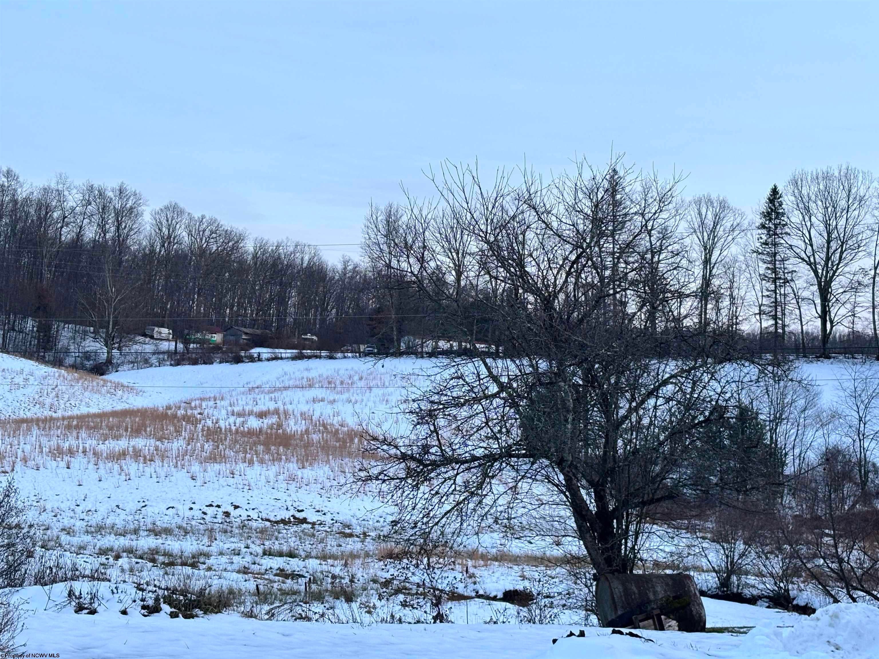 1021 B Clover Run Road Montrose, WV 26283 - Photo 4 of 18 Gallery Image 4