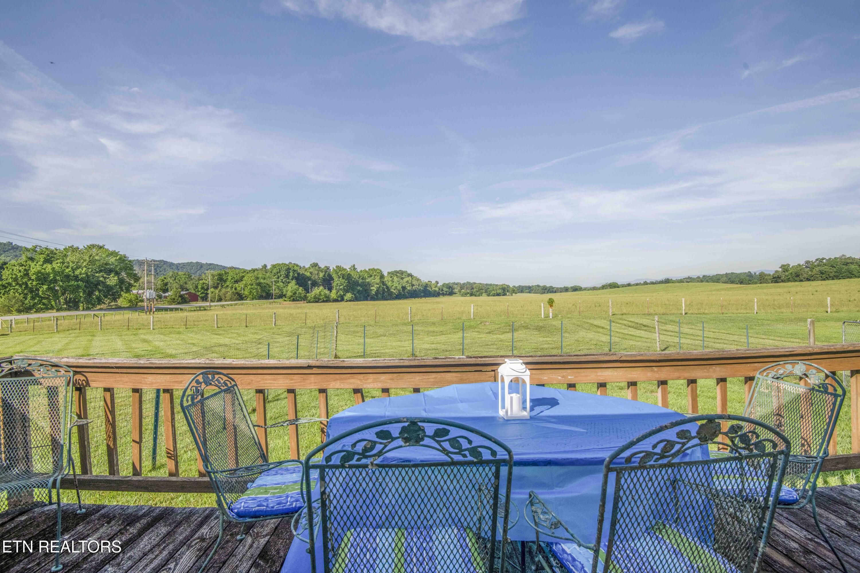 101 Big Valley Road Andersonville, TN 37705 - Photo 47 of 55 yard 13_1