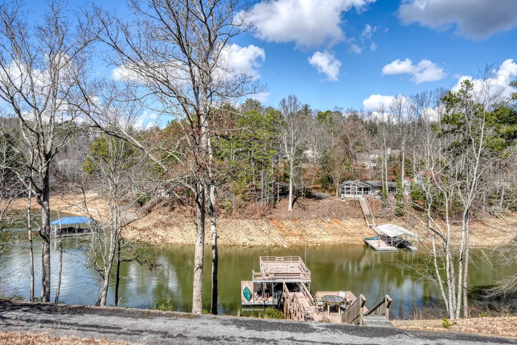 333 Reece Creek Road West Blairsville, GA 30512 - Photo 40 of 50