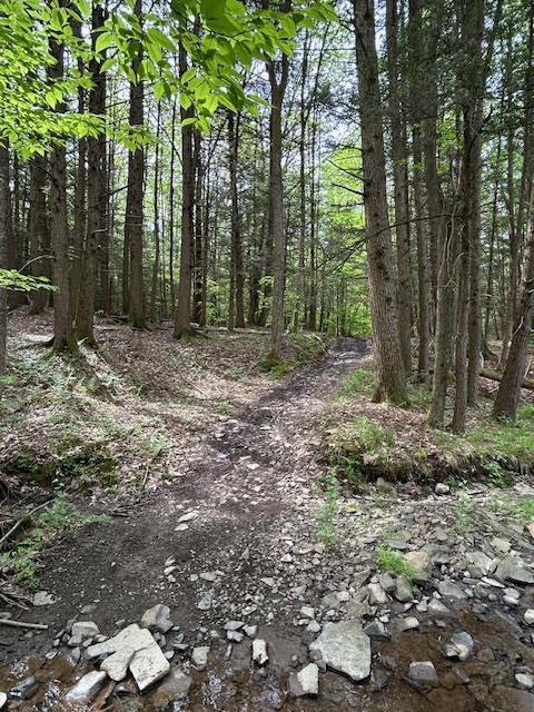 660 Anne Road Windsor, NY 13865 - Photo 1 of 6 Gallery Image 1