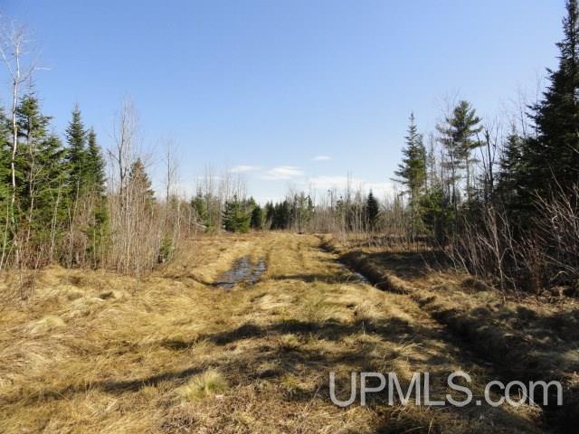 12886 Old 41 Road Baraga, MI 49908 - Photo 16 of 18 Gallery Image 16