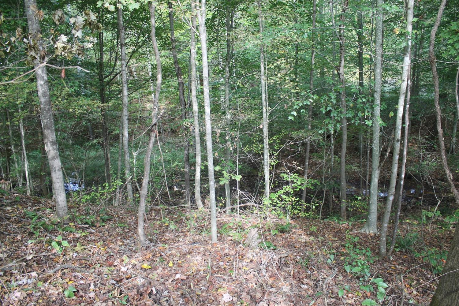 193 Midnight Pass Road Wellington, KY 40387 - Photo 6 of 29 Listing Photo
