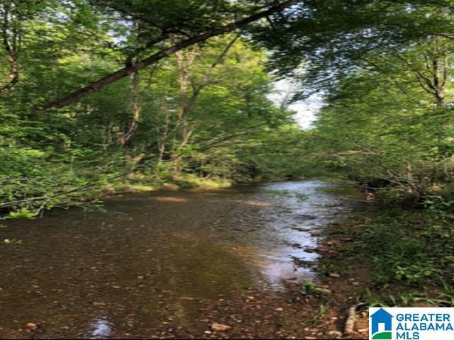452 County Road, Unit 41 Woodland, AL 36280 - Photo 3 of 3
