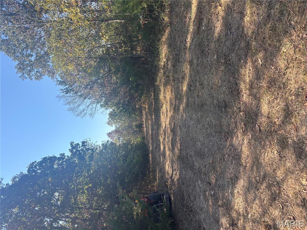 4 Mo-72 Fredericktown, MO 63645 - Photo 6 of 10